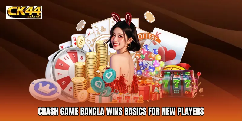 Crash Game Bangla Wins Basics for New Players